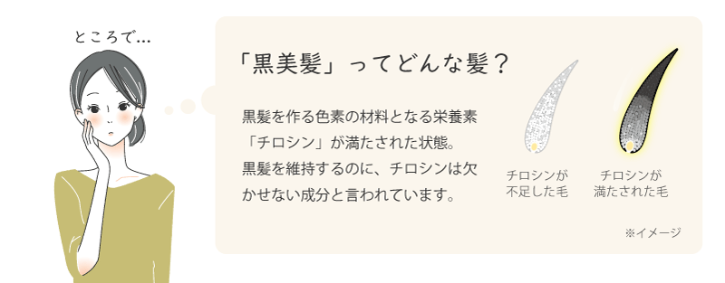 ところで...「黒美髪」ってどんな髪？-黒髪を作る色素の材料となる栄養素「チロシン」が満たされた状態。黒髪を維持するのに、チロシンは欠かせない成分と言われています。