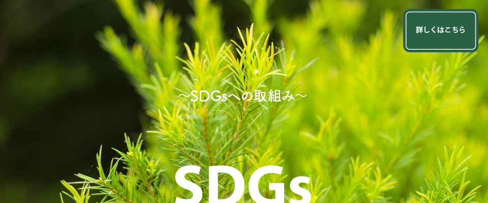 〜SDGSへの取組み〜 SDGs